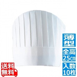 パリスハット(10枚入)PH-115NT 薄型 25cm 写真1