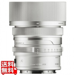 35MM F2 DG(C) シルバー Lマウント 写真1