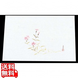 四季紙 萬寿(100枚入)M33-117 なでしこ 写真1