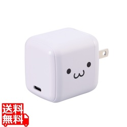 USB Power Delivery 65W AC充電器(C×1) 写真1
