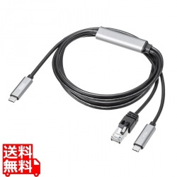 急速充電対応 USB Type-C LAN変換ケーブル(Gigabit対応・PD100W・2m) 写真1