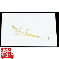 四季紙 萬寿(100枚入)M33-107 水仙 写真1