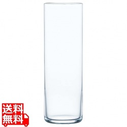 シルクライン ゾンビー B-21213CS 写真1