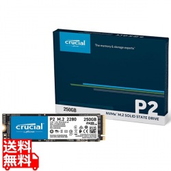 [Micron製] 内蔵SSD M.2 P2シリーズ 250GB (3D NAND/Read:2100MBs/Write:1150MBs/5年保証) 国内正規品 写真1
