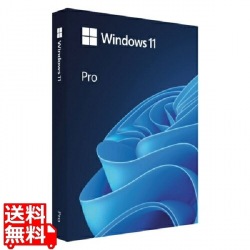 Windows 11 Pro 英語版 写真1