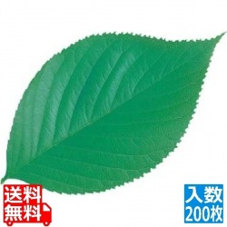 型抜きクリアシート(200枚入)65787 木の葉 写真1