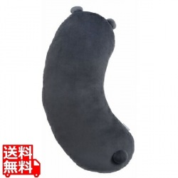 ボディピロー 写真1