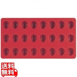 ゼリーフレックスモルドSG08 ストロベリー(24ヶ取) 写真1