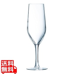 エヴィデンス フルート 17(6ヶ入) V2823 写真1