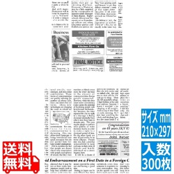 ラミニュースペーパー(300枚入)210×297mm(A4)RP-NA4E 写真1