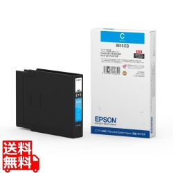 ビジネスインクジェット用 インクカートリッジ(シアン)/約8000ページ対応 写真1