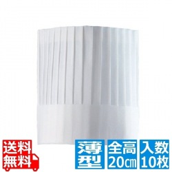 パリスハット(10枚入)PH-201NT 薄型 20cm 写真1