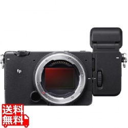 fp L ELECTRONIC VIEWFINDER EVF-11 キット 写真1