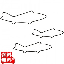 生抜 3PC 鮎 写真1