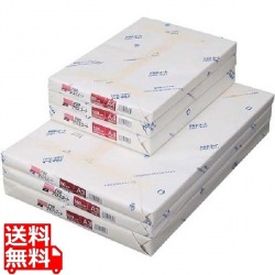 PODグロスコート100 100g A3 250枚/冊 写真1