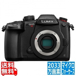 デジタル一眼カメラ LUMIX GH5S ボディ (ブラック) 写真1