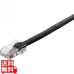 屋外用LANケーブル 10m 写真1