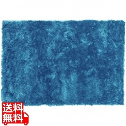 シャギーラグ 写真1