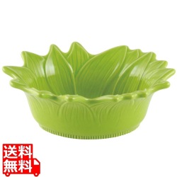 アポーリア オーバルプレート 22cm ライム 写真1