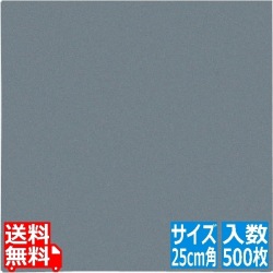 抗菌OKシート 無地(500枚入) OPK-25 25cm角 写真1