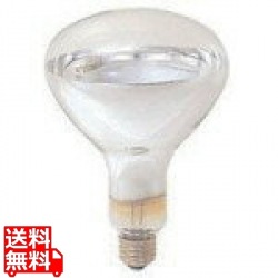 ヒートランプウォーマー用電球 125W(国産) 写真1