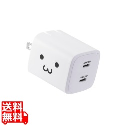 USB Power Delivery 40W AC充電器(C×2) 写真1