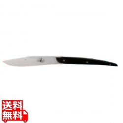 テーブルナイフ アッシュツリー G・P T6PAS FRD 写真1