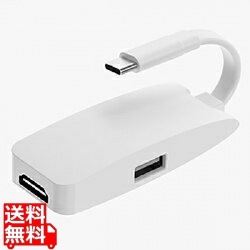 Miracast HDMI 4K 給電用ポート付 USB-C 写真1