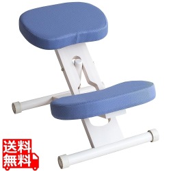 プロポーションチェア CH-N88W ホワイトヴァイオレット 写真1