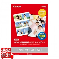 写真用紙 光沢スタンダードA4 100枚 SD-201A4100 写真1