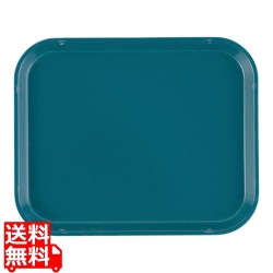 カムトレー(FRP)810 ティール 写真1