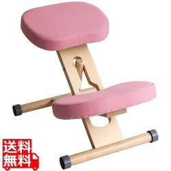 プロポーションチェア CH-N88W ナチュラルピンク 写真1