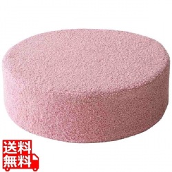 リビングクッション CN-40RB ピンク 宮武製作所 | 座椅子 低反発 クッション リビング 写真1