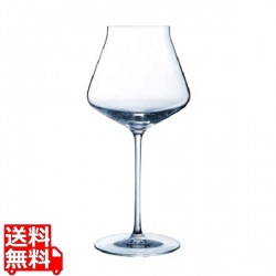 リヴィールアップ インテンス 55 J9014 550cc 写真1