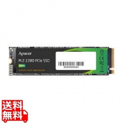 AS2280Q4L M.2 PCIe Gen4 x4 256GB 写真1