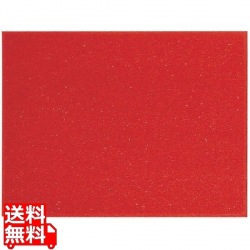 3M スタンダードクッション(裏地つき) 900×600mm 赤 写真1