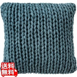 L10 クッション CTN427 写真1