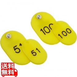 クロークチケット KF968 51?100 黄 写真1