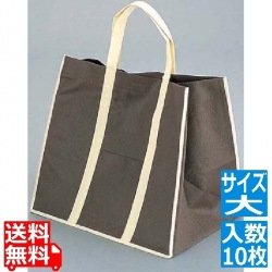 ファインビュー 不織布バッグ(10枚入)大 ブラウン 写真1