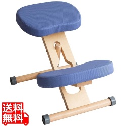 プロポーションチェア CH-N88W ナチュラルヴァイオレット 写真1