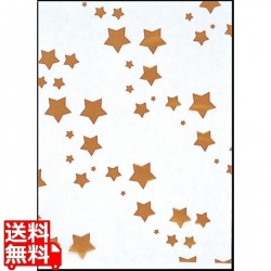 SKバッグ 星(100枚入) No.5 写真1