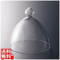 ドームNo940 写真1