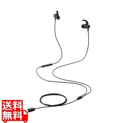 デジタル式Type-Cイヤホン 写真1