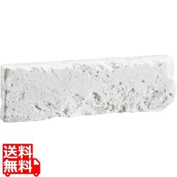 レジェンドブリックNX ホワイト00 基本 写真1