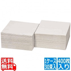 トウカイペーパータオル タウパーキッズ (400枚×30束入) 写真1