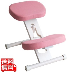 プロポーションチェア CH-N88W ホワイトピンク 写真1