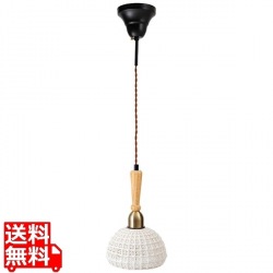 L1 ライト 写真1