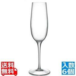 パラス フルート(6ヶ入)09233/06 写真1