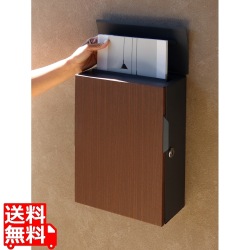 壁掛けポスト 鍵付き コンパクト スリム シンプル 錆びにくい アンカー ネジ付き 【Piera(ピエラ)】(ダークグレー/ブラウン木目) 写真1