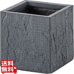 グリーンベース 写真1